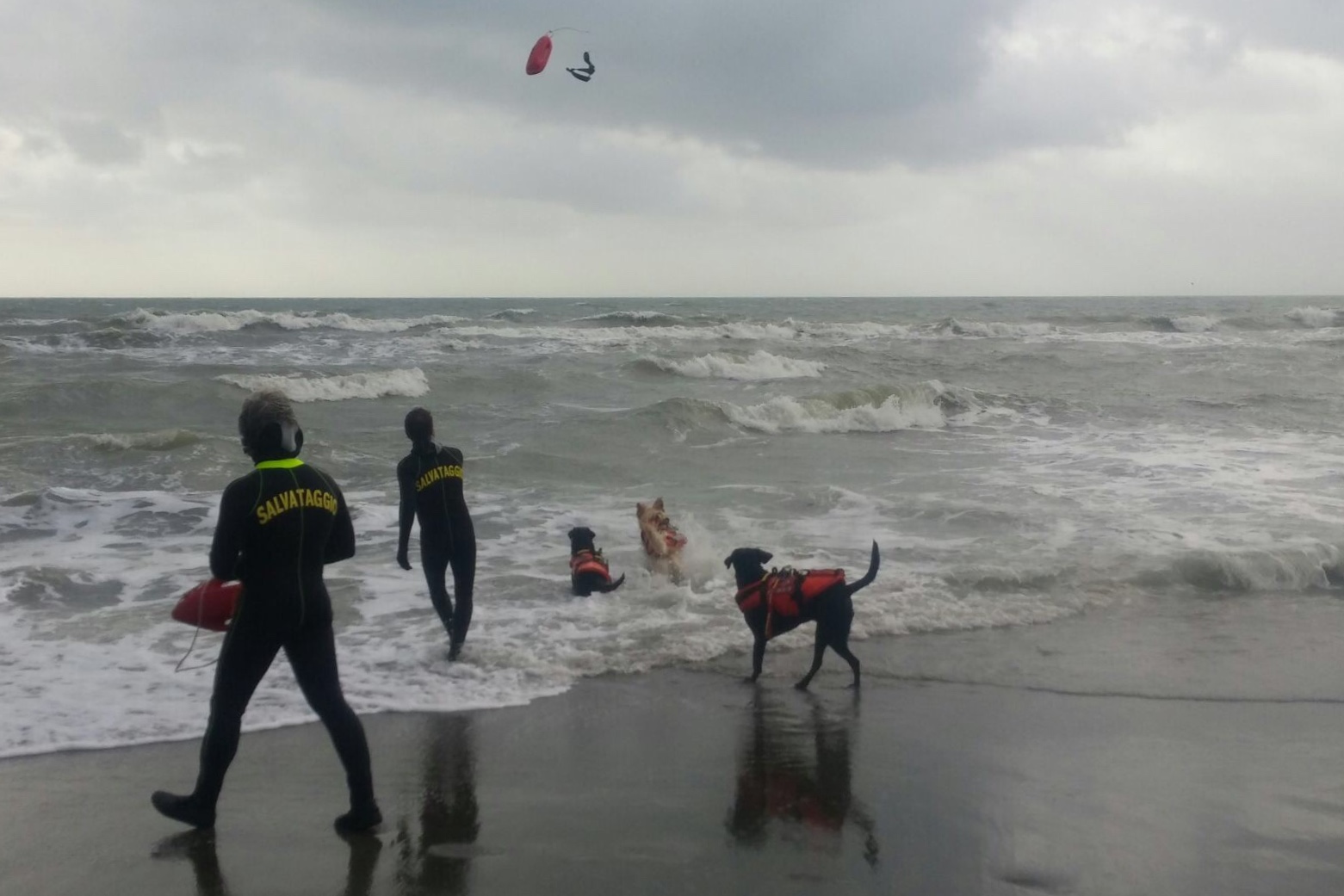 Il bagno di Capodanno 2018